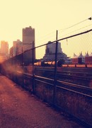 Дети каменного леса