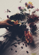 Сон в Вальпургиеву ночь