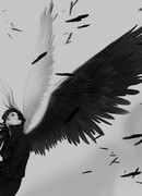 Разнокрылый Ангел