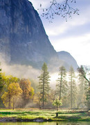 Власть потока