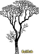 Как стать богом