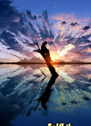 Моменты жизни