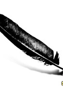 Под тенью черных крыльев