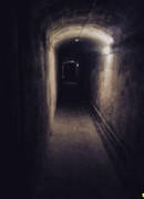 Двенадцать шагов