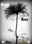 Черная роза