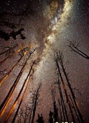 Обреченная