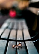 Твоя жизнь в твоих руках