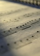 Моменты из жизни музыканта