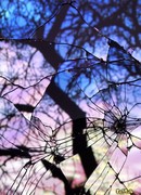 Осколки памяти