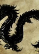 Во власти "Чёрного дракона"