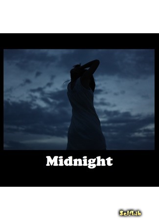 книга Полночь (Midnight) 09.08.17