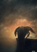 Сказания Бездны