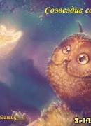 Созвездие совенка