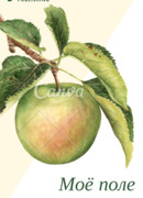 Моё поле