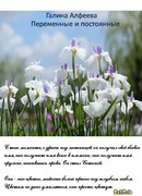 Переменные и постоянные