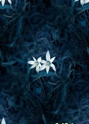 Постскриптум