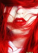 Потерянные игрушки