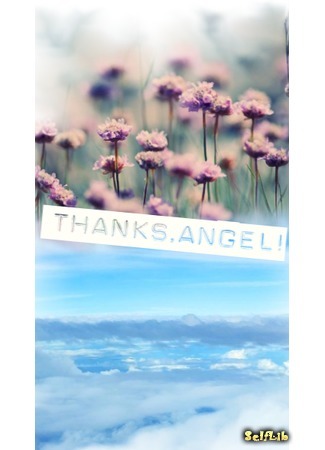 книга Спасибо, Ангел! (Thanks, Angel!) 07.04.19