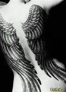 Сказки вокруг