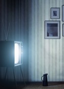 Снятые истории