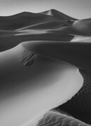 Странник пепельного моря