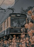 Тайные встречи