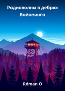 Радиоволны в дебрях Вайоминга