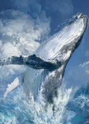 Сакурай. У истоков «KNH»