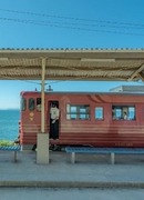 Ледяная Ива