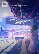 Свет уходящего солнца: Зимний сон