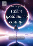 Свет уходящего солнца: Горизонт событий