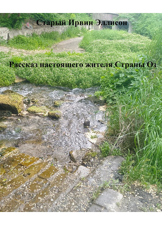 книга Рассказ настоящего жителя Страны Оз (The story of the True citizen of Oz) 18.05.25