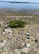 Истинное проклятье Вселенной